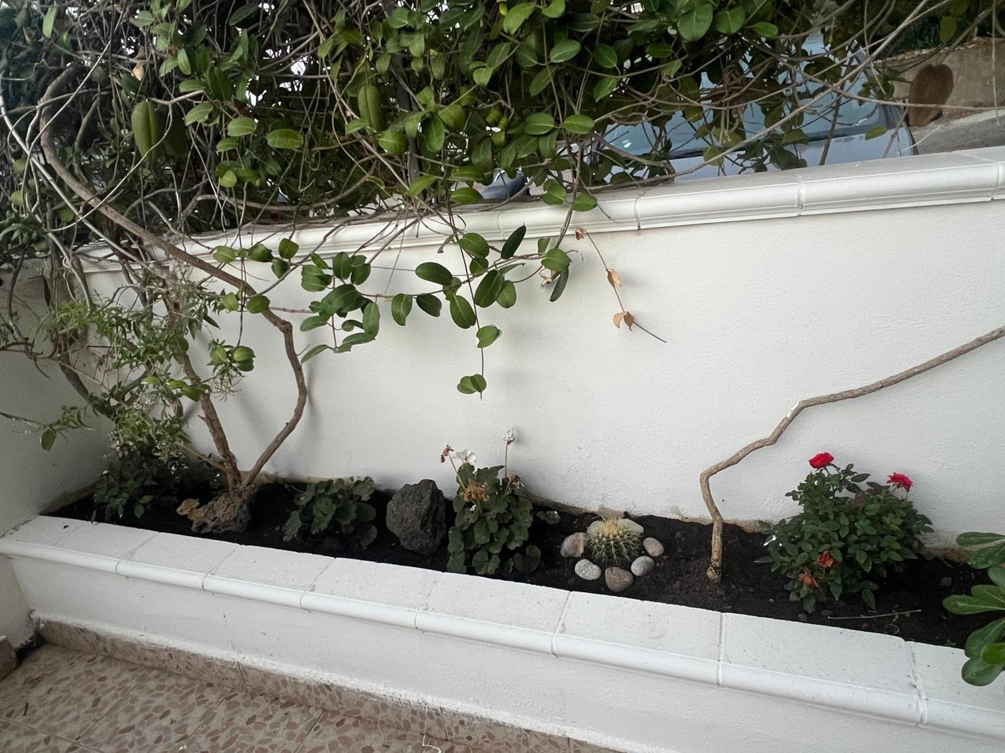 La Casa Dei Ciocio Villa Cefalù Dış mekan fotoğraf