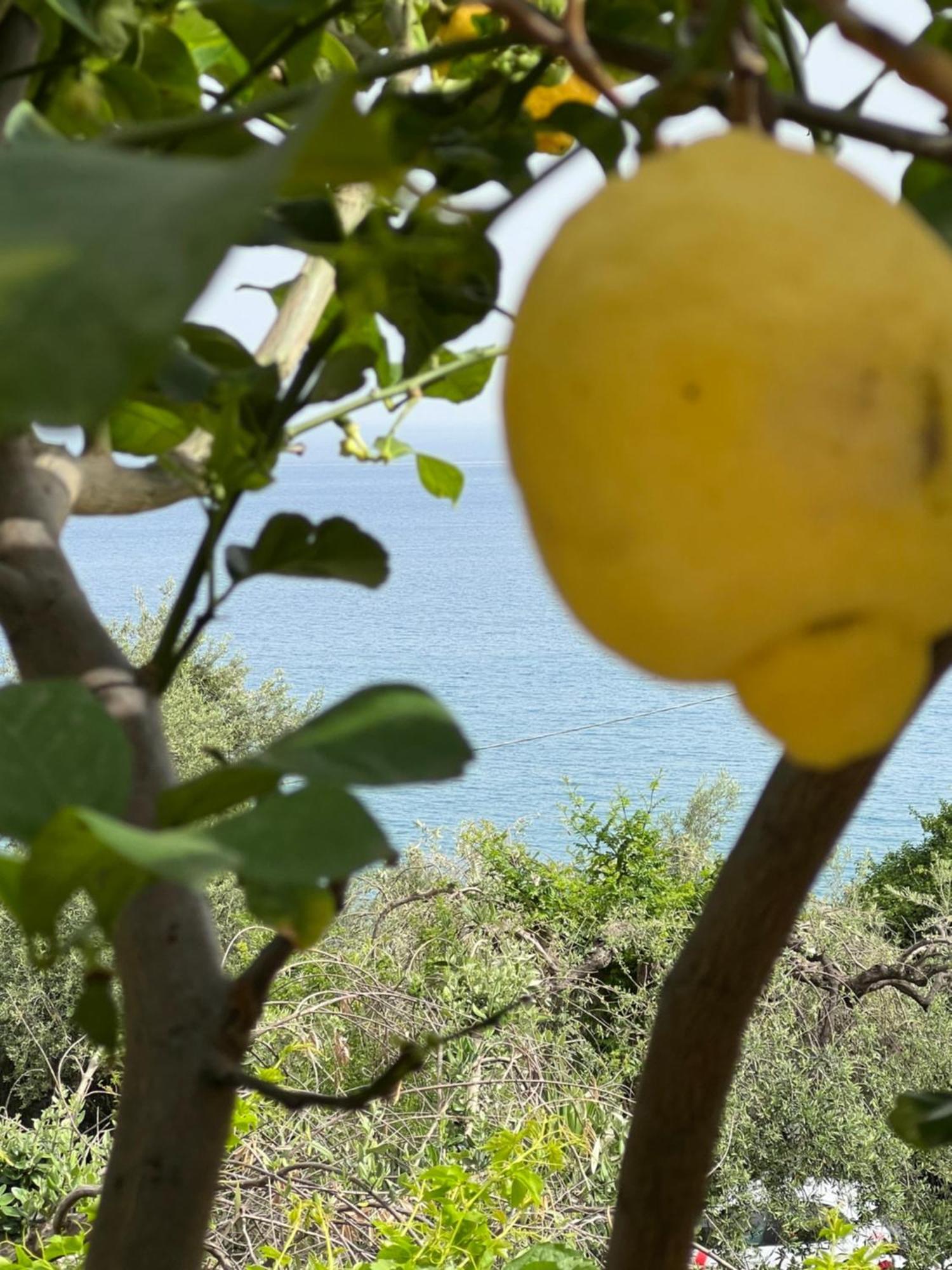 La Casa Dei Ciocio Villa Cefalù Dış mekan fotoğraf
